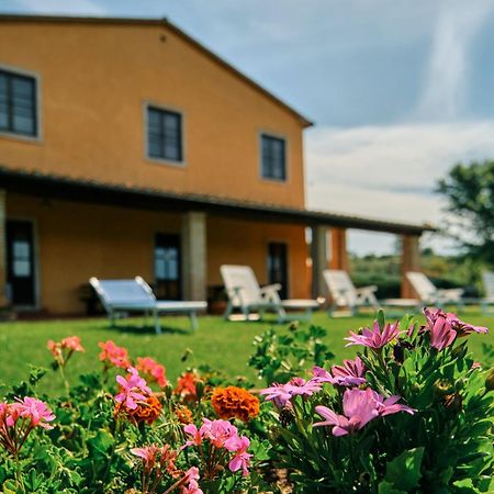 8380 Agriturismo Il Saragiolo Манчано Екстериор снимка