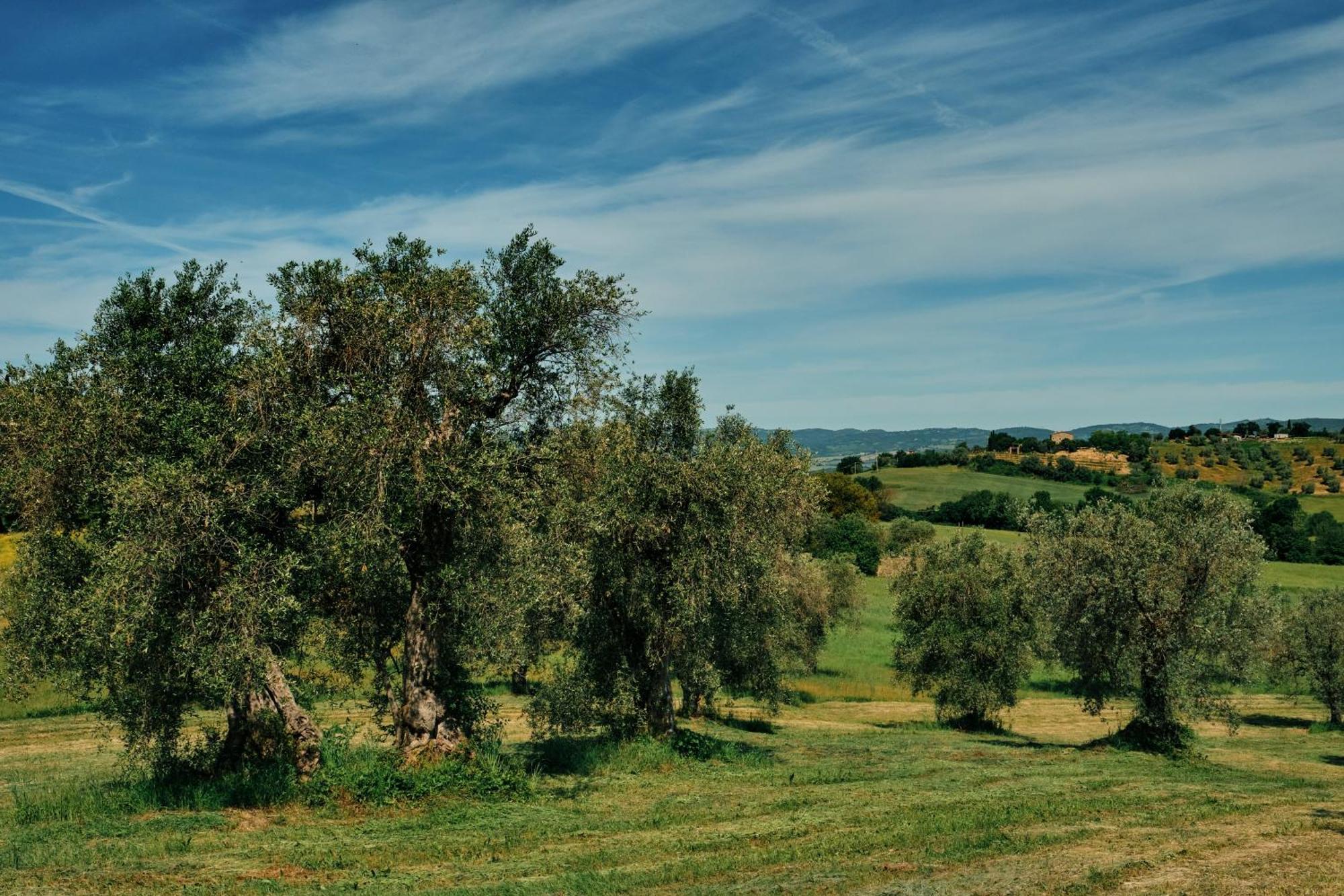 8380 Agriturismo Il Saragiolo Манчано Екстериор снимка