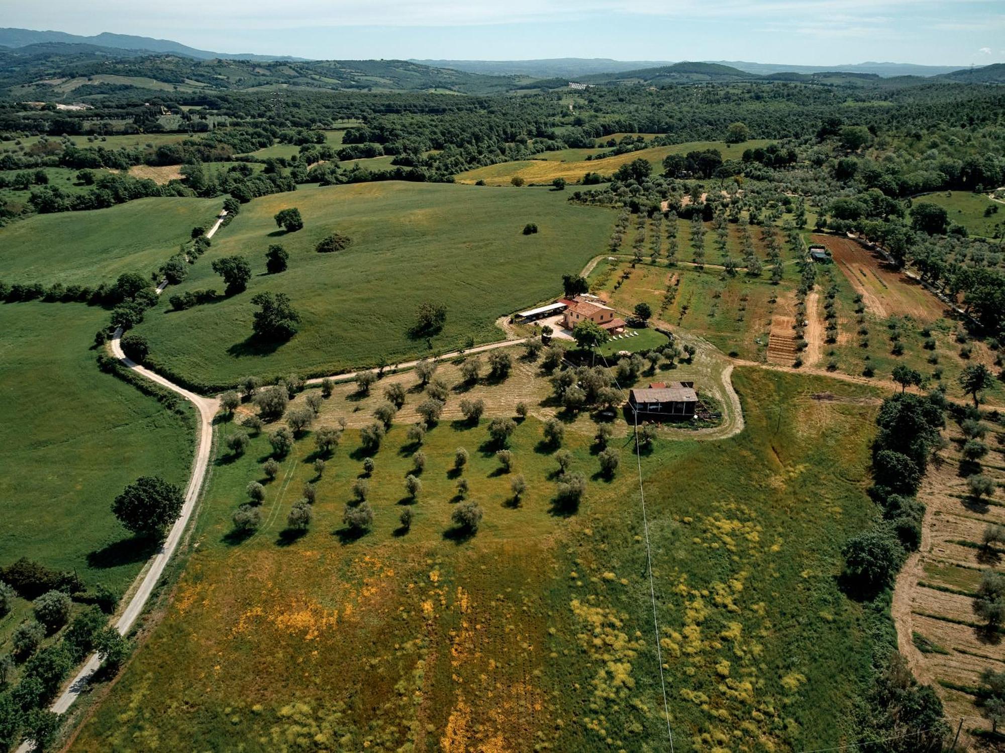 8380 Agriturismo Il Saragiolo Манчано Екстериор снимка