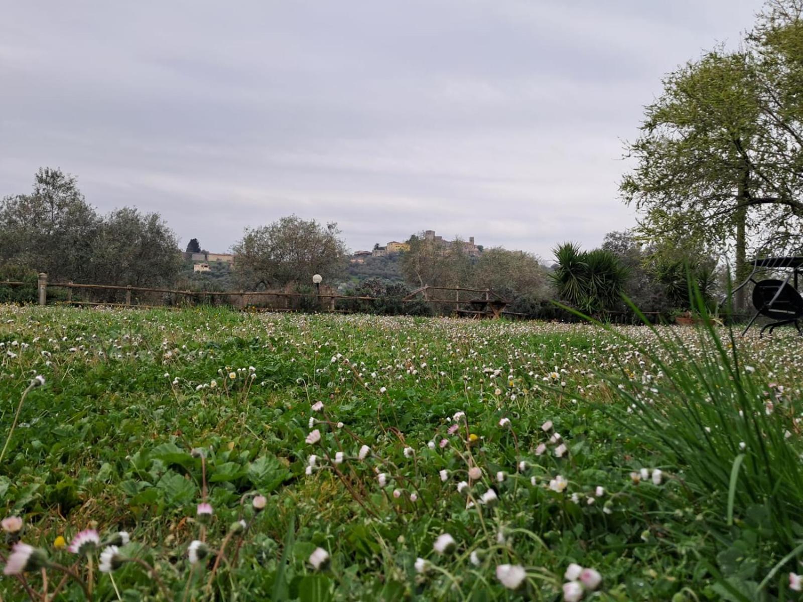 8380 Agriturismo Il Saragiolo Манчано Екстериор снимка